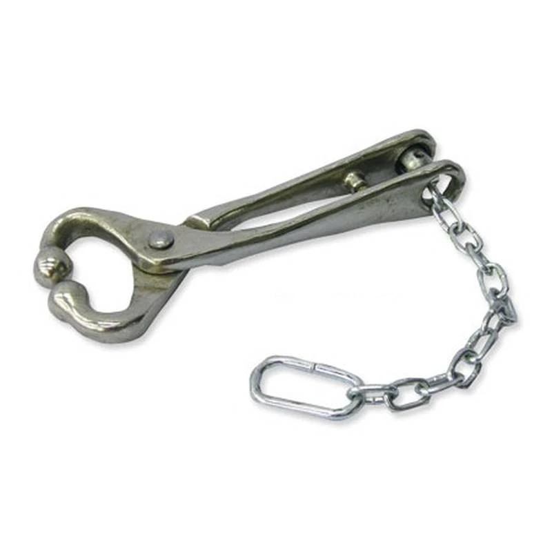 Bull Lead with Nickel-Plated Chain, 13.5 Inches Length