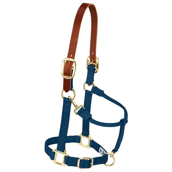 Breakaway Halter, Navy, 1 In., Large Horse, Model 35-6026-nv