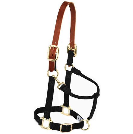 Breakaway Halter, Black, 1 In., Average-size Horse, Adjustable
