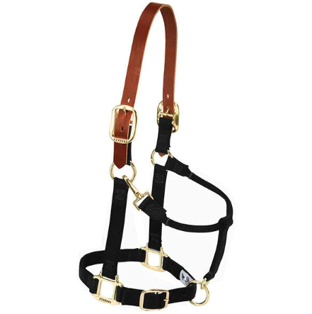 Breakaway Halter, Black, 1 In., Small/weanling Horse, Adjustable