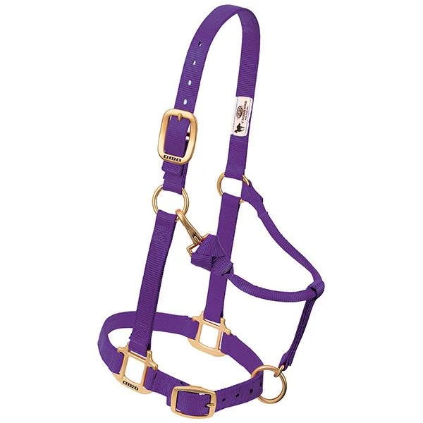 Adjustable Chin & Throat Snap Halter, 1 In., Purple, Average Horse Size