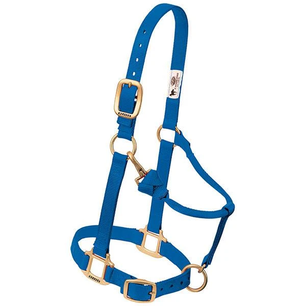 NYLON HALTER ORIG 1" MED BLUE