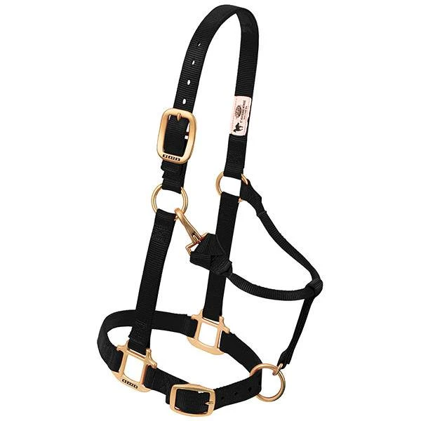 NYLON HALTER ORIG 1" LG BLACK