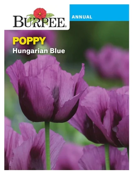 Poppy Flower Seed Pack - Heirloom Annual Flower, 75 Mg