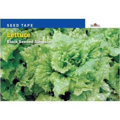 Black Seeded Simpson Lettuce Seed Tape - Easy Planting For Crisp Salads