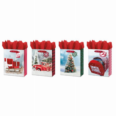 Medium Holiday Gift Bag with Festive Photo Designs