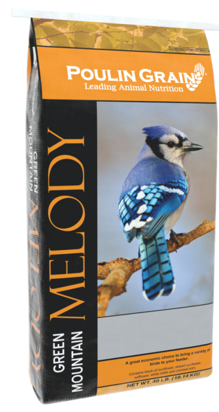 Melody Bird Seed 40 Pound Bag - Premium Blend For Wild Birds