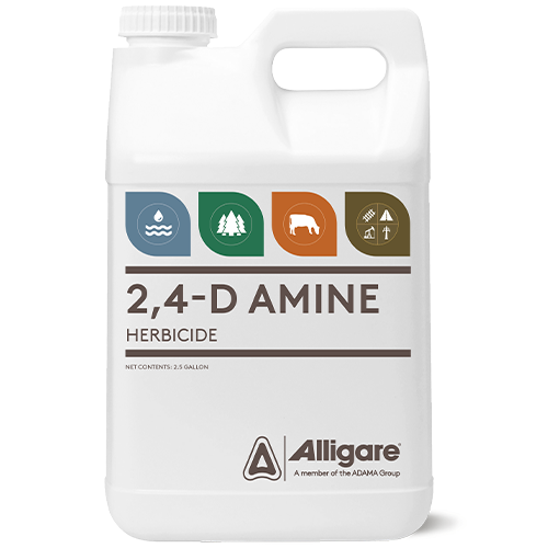 2,4-D AMINE WEED KILLER 2.5G