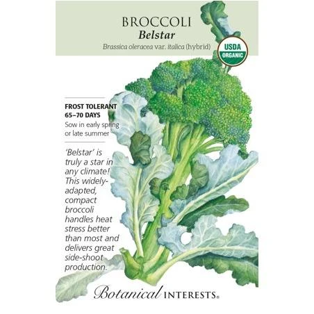 Broccoli Belstar Hybrid Organic Seeds - Premium Quality For Home Gardening