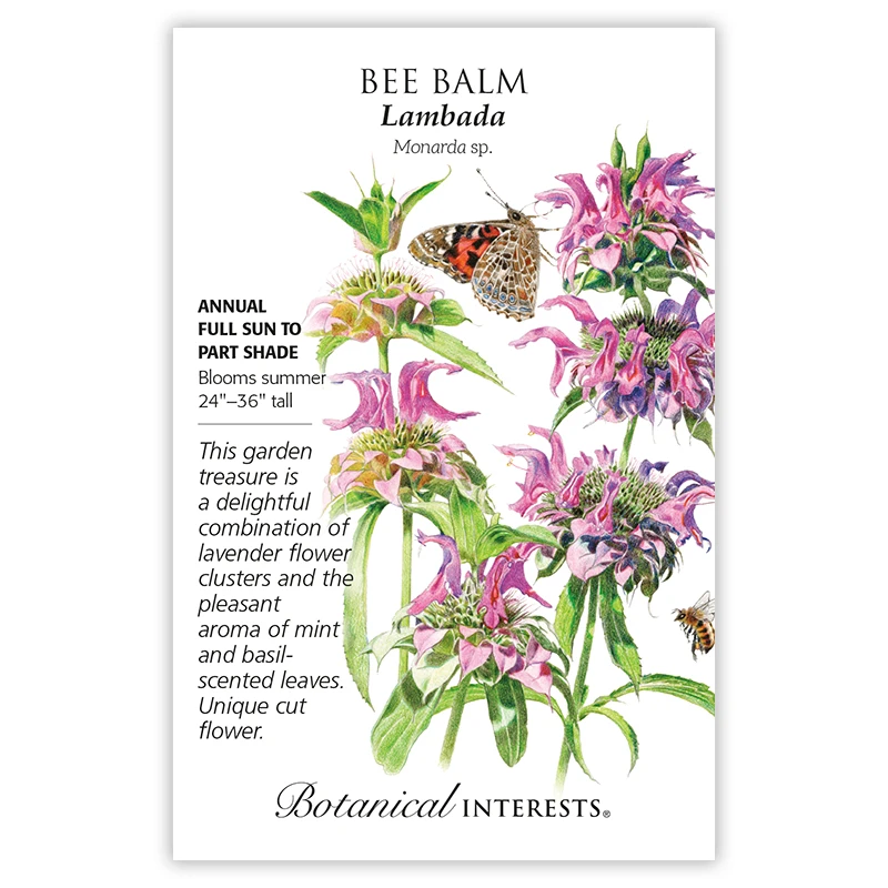 Lambada - Vibrant Perennial Flower Seeds For Pollinator Gardens