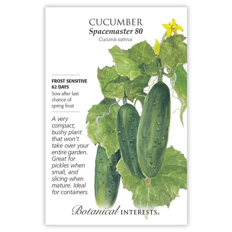 Cucumber Spacemaster Seeds - Perfect For Small Gardens And Containers