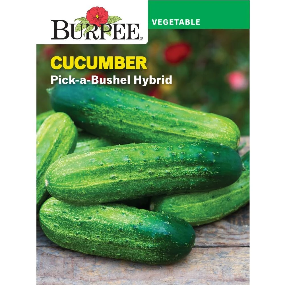 Organic Pick-a-bushel Cucumber Seeds - Ideal For Home Gardens