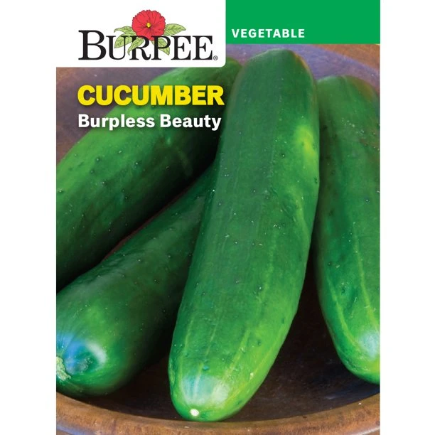 Cucumber Seed - Premium Vegetable Seed For Home Gardens