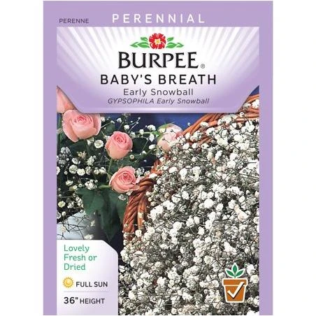 Babys Breath Early Snowball Seed Packet - Annual Flower Seeds