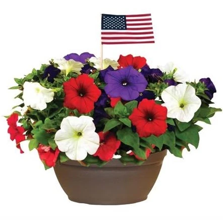 RED/WHITE/BLUE PLANTER 12"