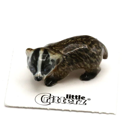 Nocturnal American Badger