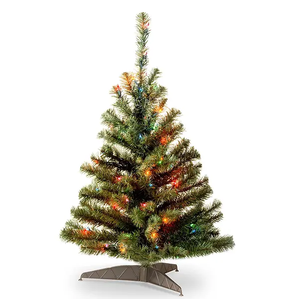 3'KINCAID SPRUCE 100MLTI LTS