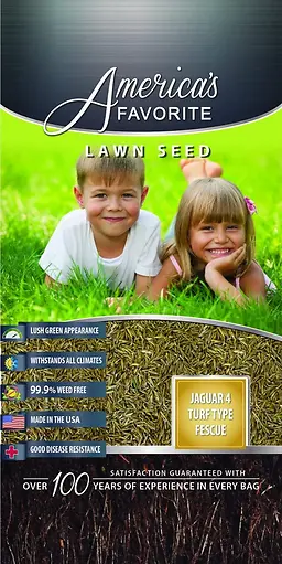 25 Pounds Gold Jaguar 4g Tall Fescue Seed - Model Mp80 For Lush Lawns