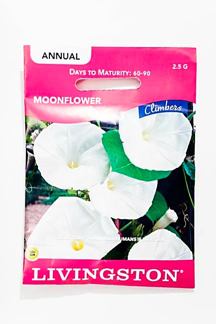 Moonflower Seeds - Beautiful Night-blooming Flower For Your Garden