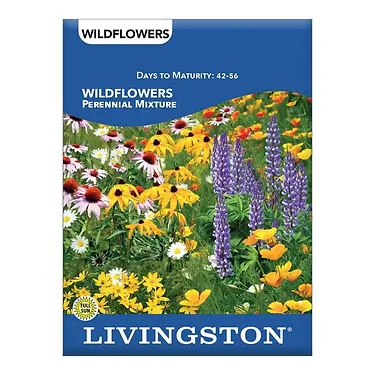Wildflower Perennial Mixture - Vibrant Seeds For Year-round Beauty