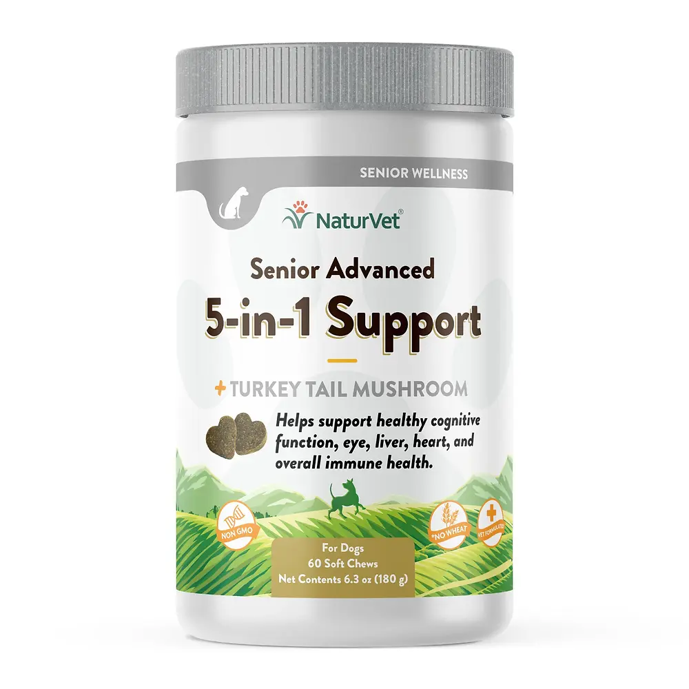 Senior Advanced Intestinal Support Dog Soft Chew, 60 Count, 2.75 Inch