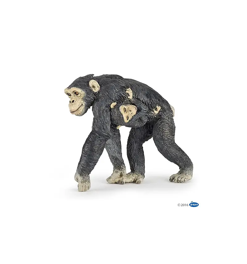 Chimpanzee And Baby