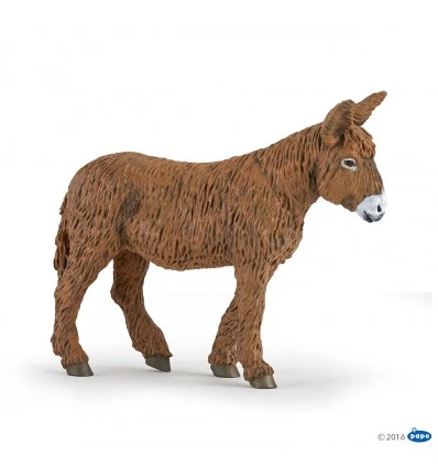 Poitou Donkey