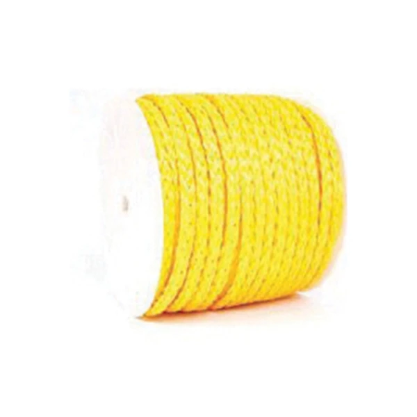 Koch Industries 3/8 in. D X 500 ft. L Yellow Hollow Braided Polypropylene Rope