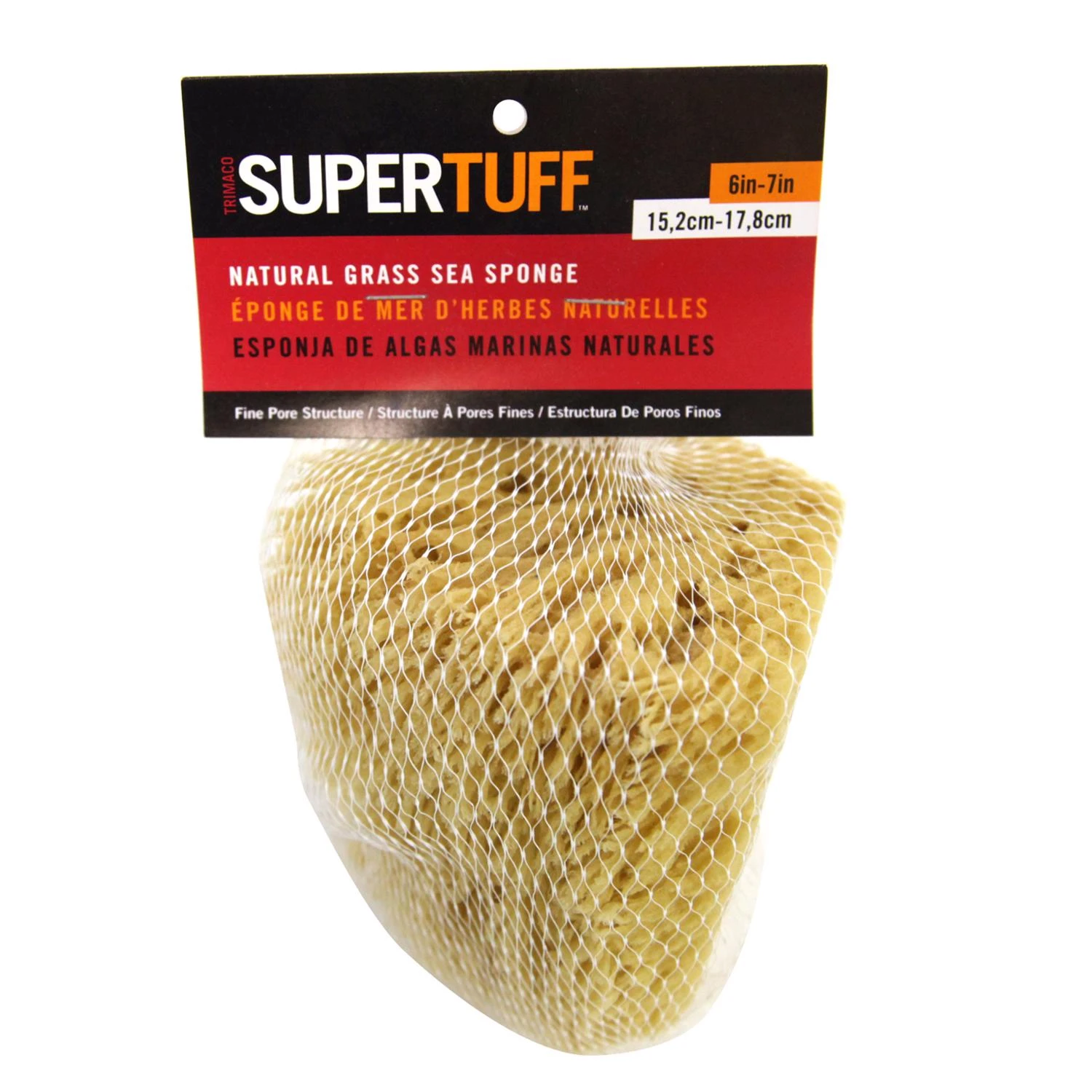 6 To 7 In. Natural Grass Sea Sponge For Faux Finishing