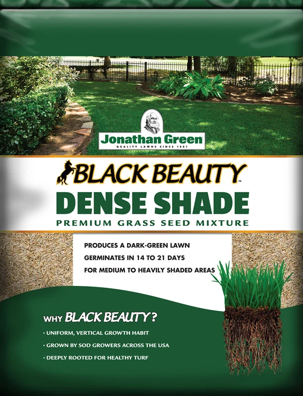 Black Beauty 3 Lb. Dense Shade Grass Seed For 900 Sq. Ft. Coverage