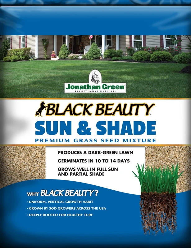 Black Beauty 1 Lb. Sun & Shade Grass Seed - 375 Sq. Ft. Coverage