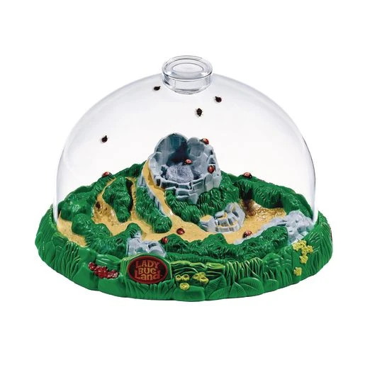 Ladybug Land Educational Growing Kit For Kids, Small Size