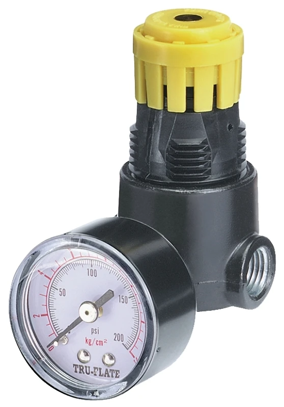 1/4 In. Npt 250 Psi Mini Pressure Regulator With Gauge