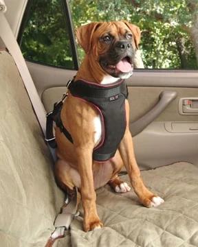 Deluxe Vehicle Safety Harness For Dogs, X-large, Black, Model 62407