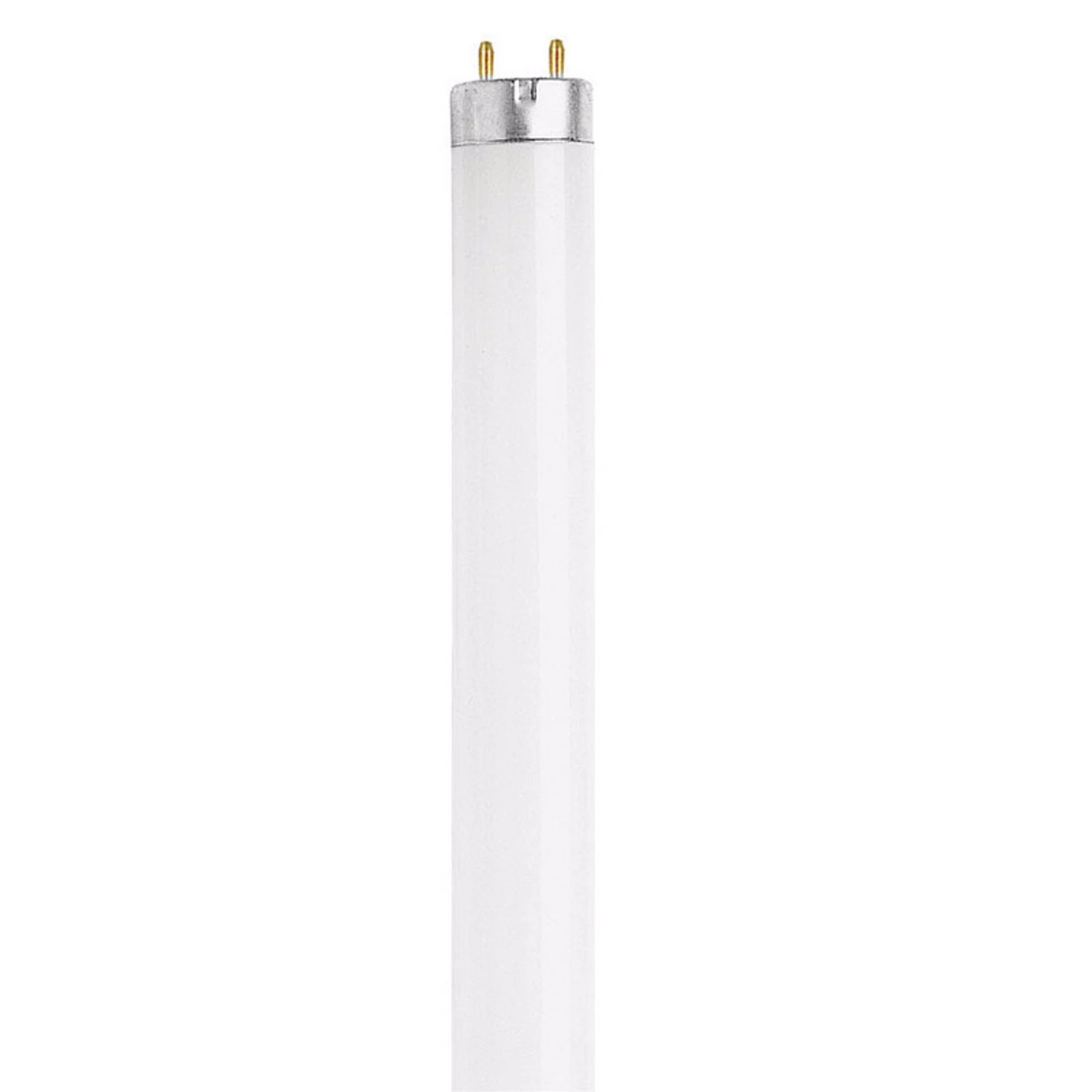 FEIT Electric 15 watts T8 18 in. L Fluorescent Bulb Cool White Linear 4100 K 1 pk