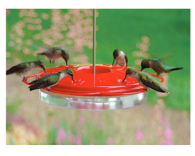 Classic Hummingbird Feeder, 12-ounce Capacity With 6 Feeding Ports