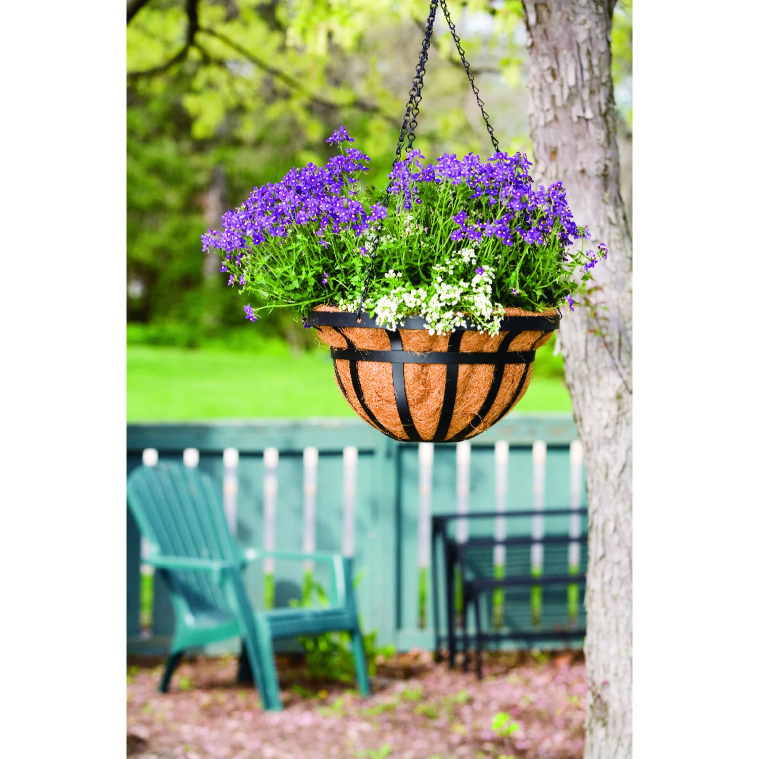 14-inch Black Steel Hanging Basket With Coco Liner And Chain, Model 88551