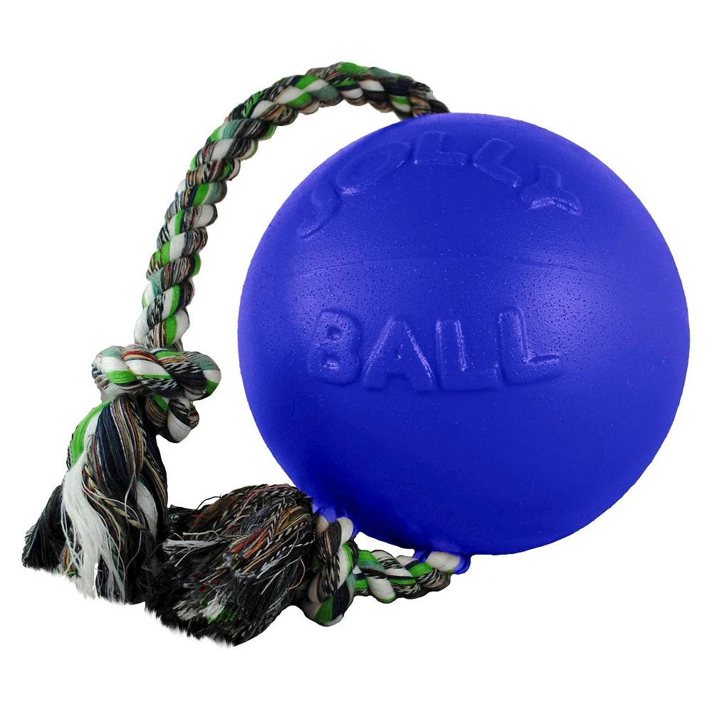 Romp N Roll 6-inch Dog Toy - Blue Color