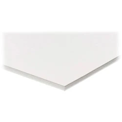 Sturdy Foam Board, 20" X 30", 3/16" Thick, Case Of 25, White