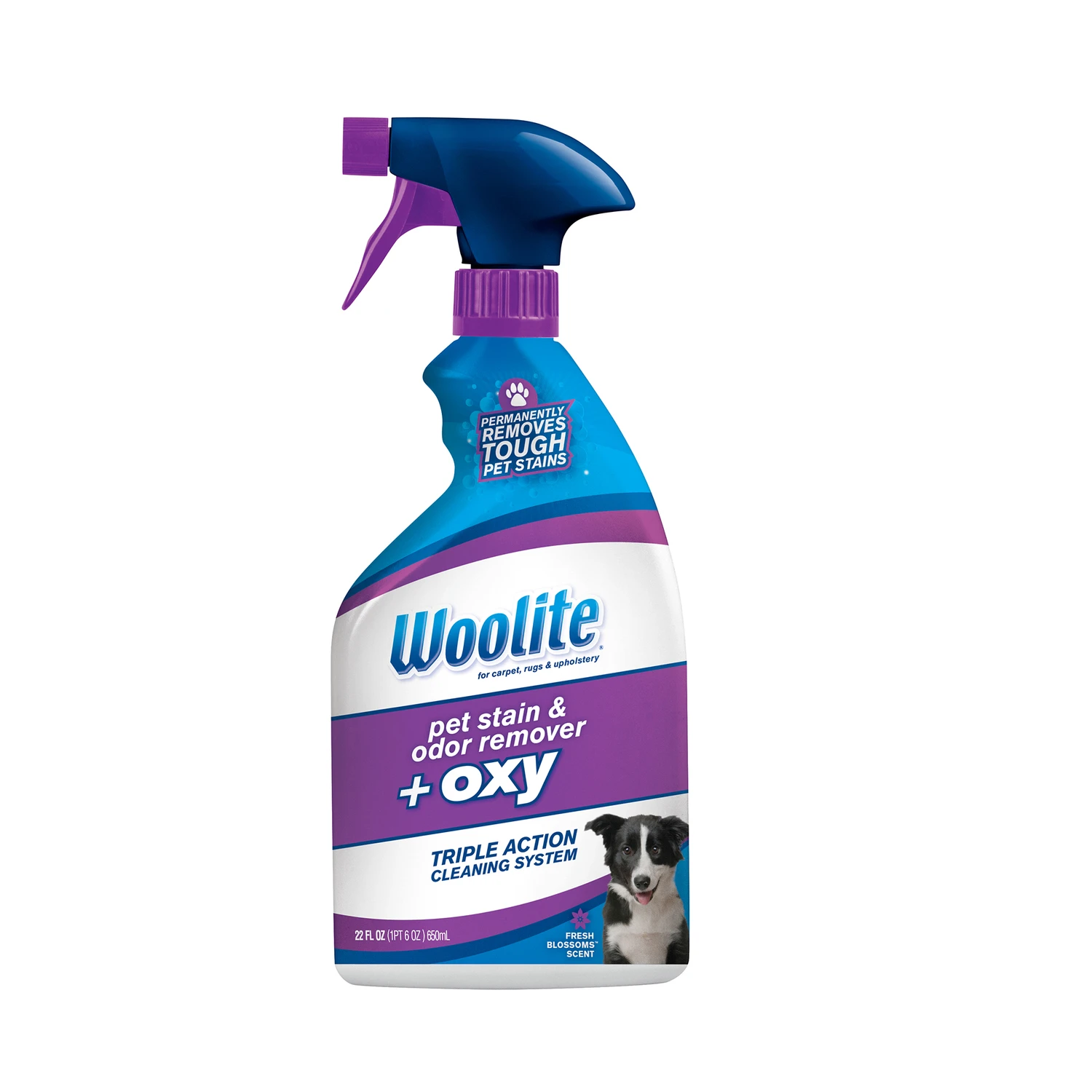 WOOLITE PET STAIN CARPET 22 OZ