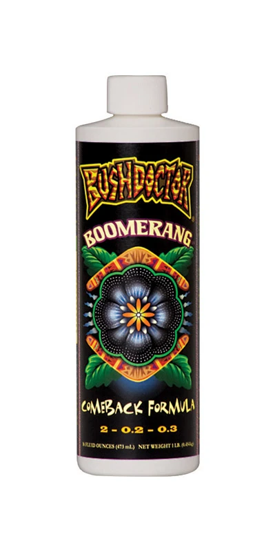 PT BOOMERANG