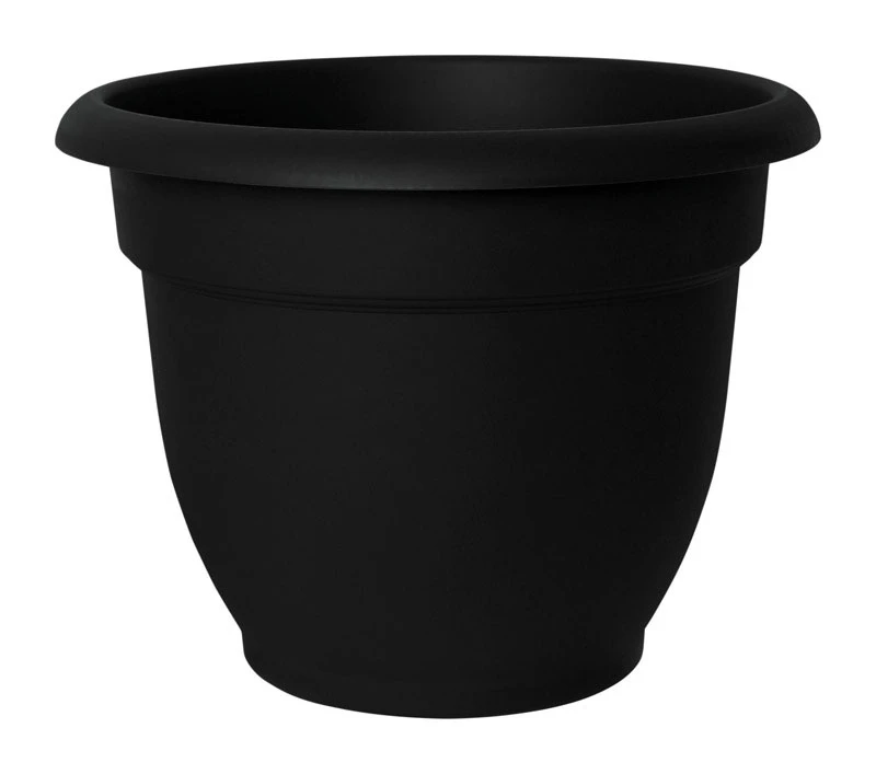 Bell Shaped Planter, Black Plastic, 6 Inch Diameter