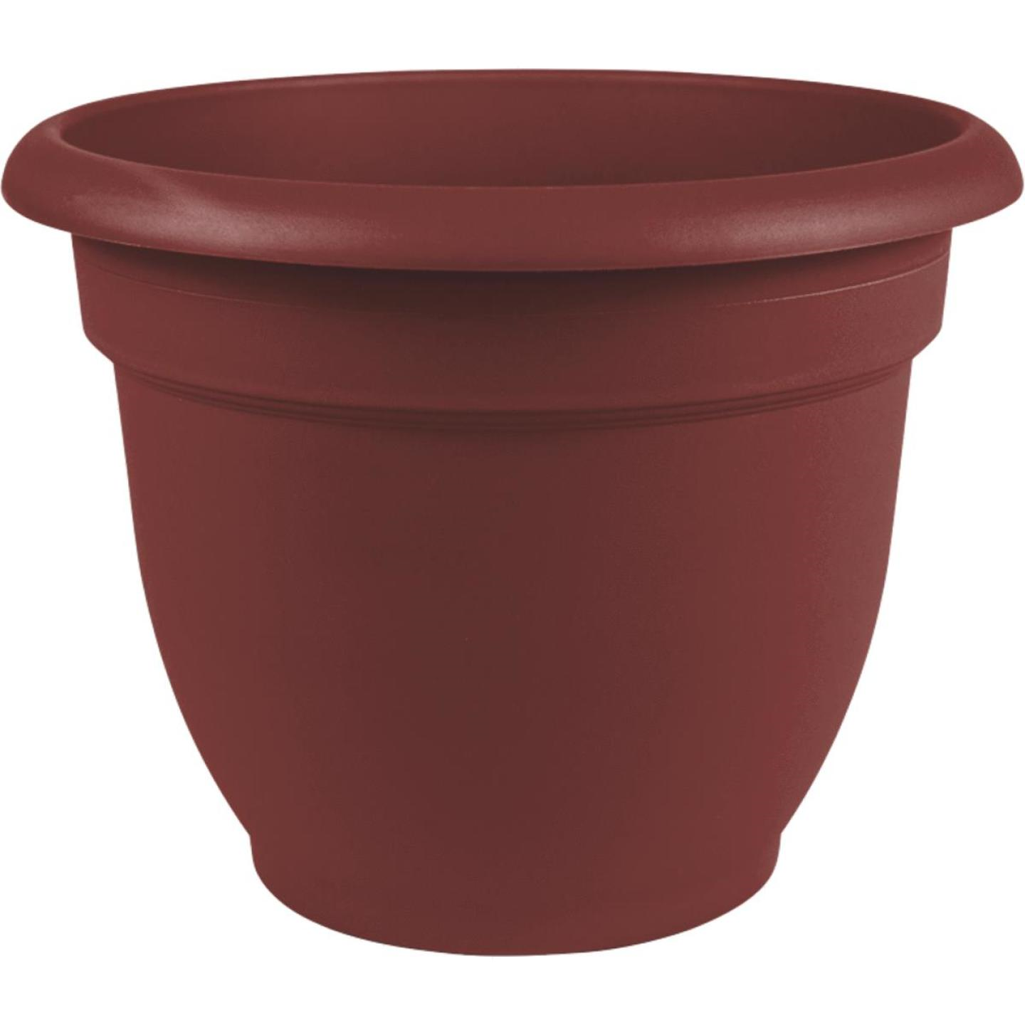 Ariana 12 In. Self-watering Plastic Planter In Burnt Red