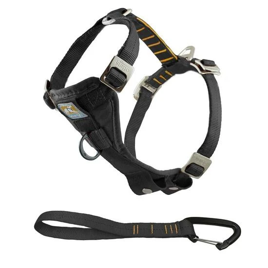 Enhanced Strength Tru-fit Dog Harness With Seatbelt Tether, Black, Medium (25-50 Lbs)