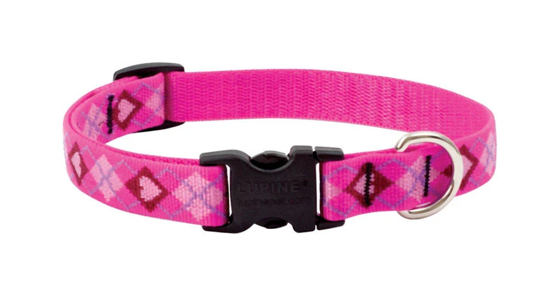 Original Designs Multicolor Puppy Love Nylon Dog Adjustable Collar 3/4 X 13-22 In.