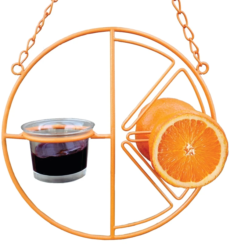 Cf-133 Clementine Oriole Bird Feeder, 2 Ports, Steel, Orange