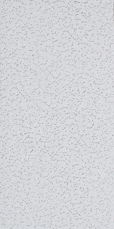 CEILING TILE 5TH AVE 2'X