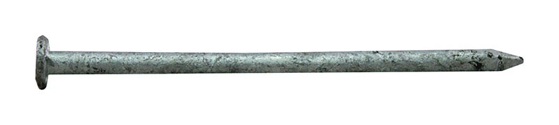 0054158 Common Nail, 8d, 2-1/2 In L, Hot-dipped Galvanized Steel, Flat Head
