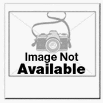 Crane Sequentia 8 Ft. Almond FRP Outside Corner Molding