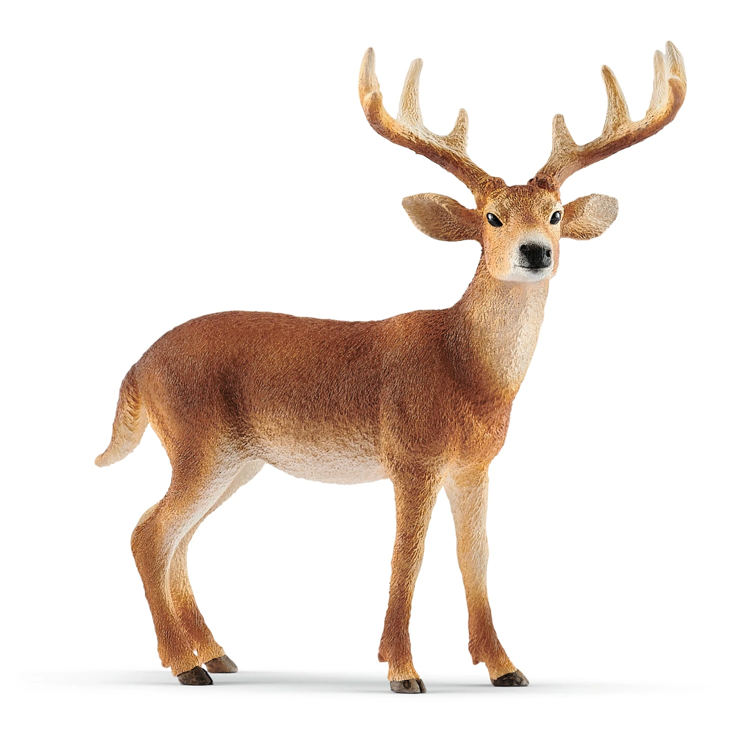 A deer / 鹿 Schleich Hand - Painted Figure - White - Tailed Buck | Fisk